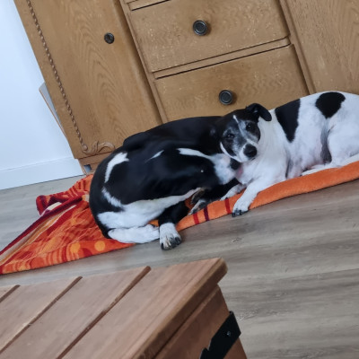 Lasse und Lotti